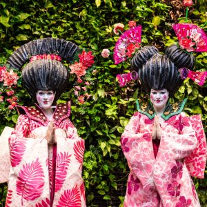 דמויות שטח במגוון סגנונות דמויות שטח במגוון סגנונות